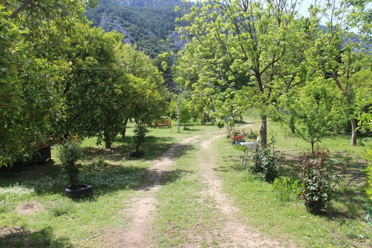 Sakli Bahce Pension Çıralı Exterior foto