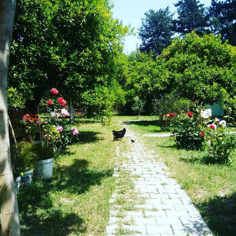 Sakli Bahce Pension Çıralı Exterior foto